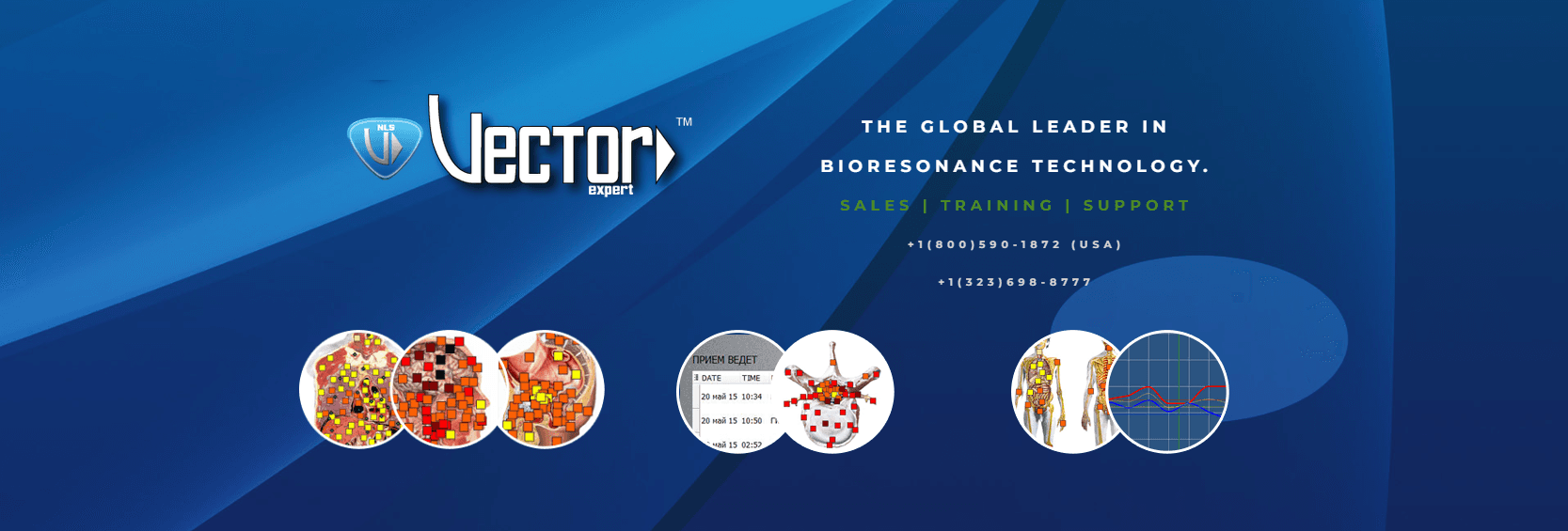 Vector NLS bioresonance technology banner